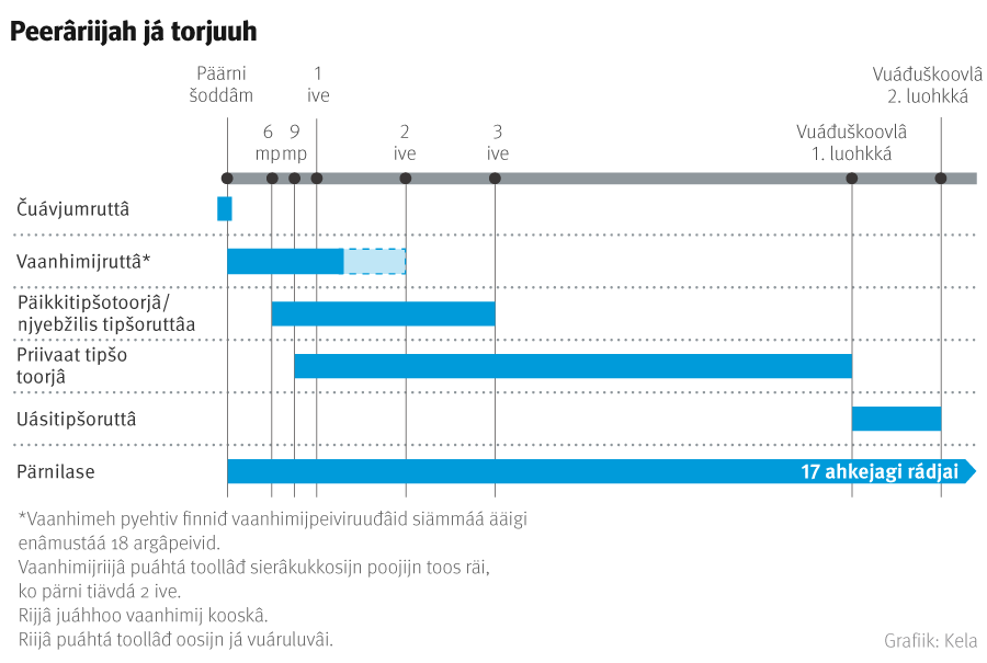 Pärniperrui torjuuh. Pärnipeerâ puáhtá finniđ jieškote-uvlágán Kela máksám torjuid päärni šodâdijn.  Tággáár hiäđuh láá čuávjumruttâ, vaanhimijruttâ, päikkitipšotoorjâ já njyebžilis tipšoruttâ , priivaat tipšom toorjâ já uásiáigásâš tipšoruttâ. Pärnilase máksojeh ain šoddâmist 17 ahasâžân räi.  
